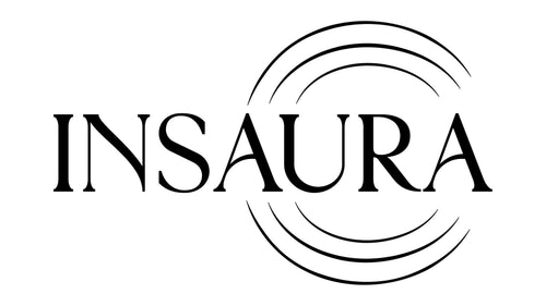 Logo of INSAURA with a circular design element on a white background